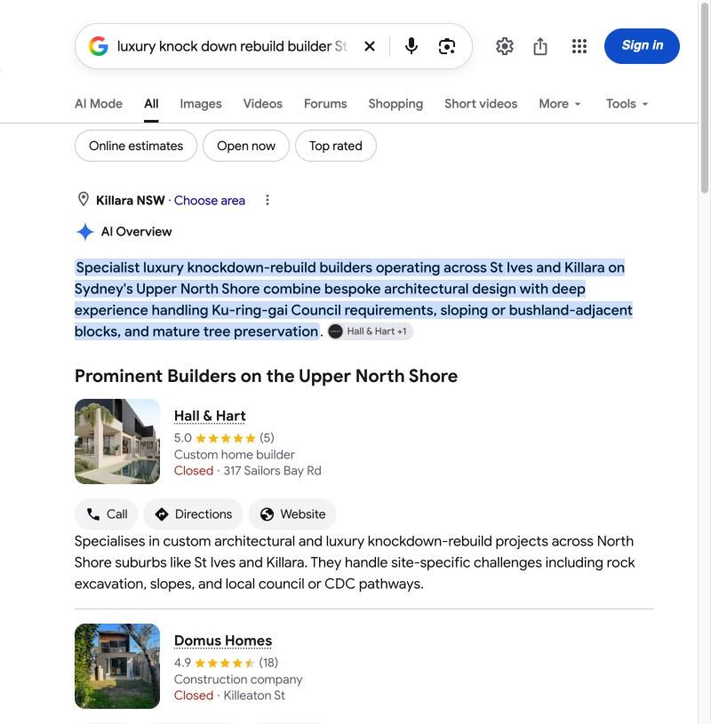 Google AI 摘要截图